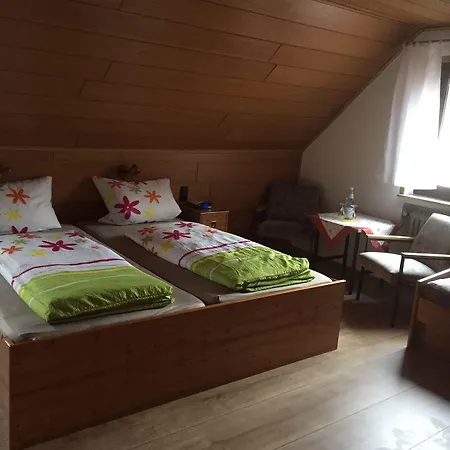 Hausmann Schlüchtern