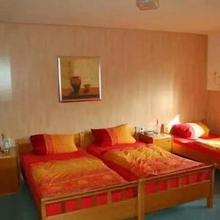 Hausmann 3*