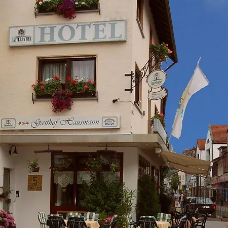 Hausmann 3* Schlüchtern